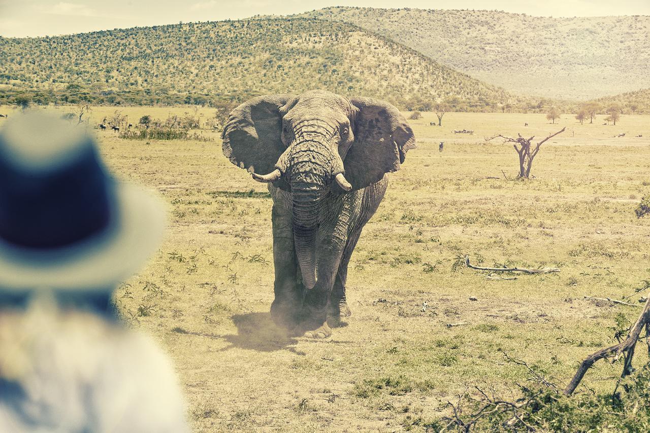 Olarro Plains Villa Maasai Mara Eksteriør billede