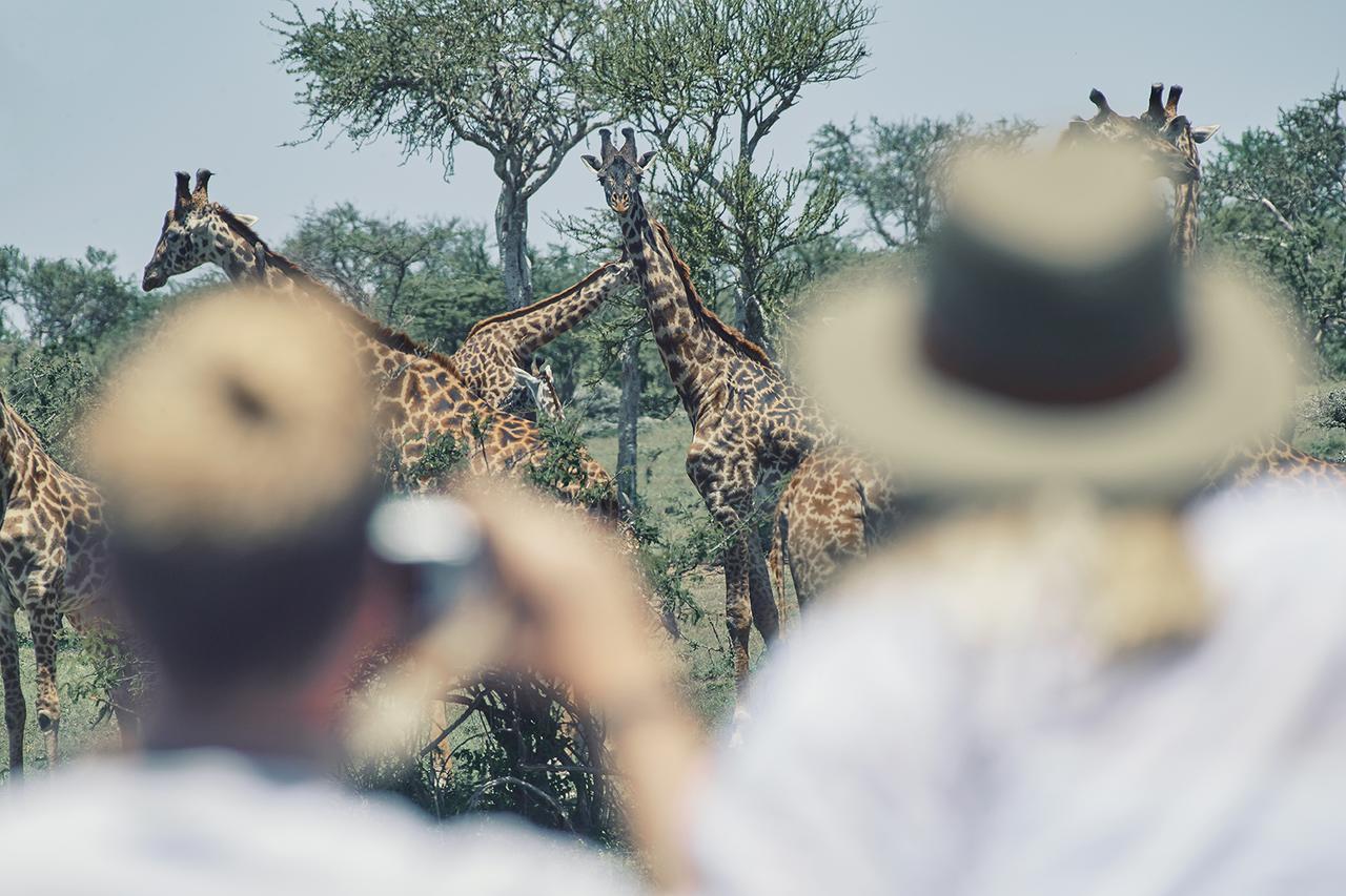 Olarro Plains Villa Maasai Mara Eksteriør billede